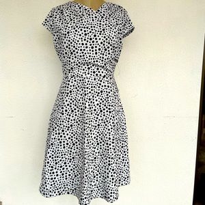 Polka Dot Alexia Admor Dress- Sz 4 (NWT)
